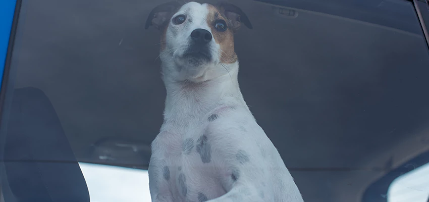 Car Lockout Solutions in Brentwood, California